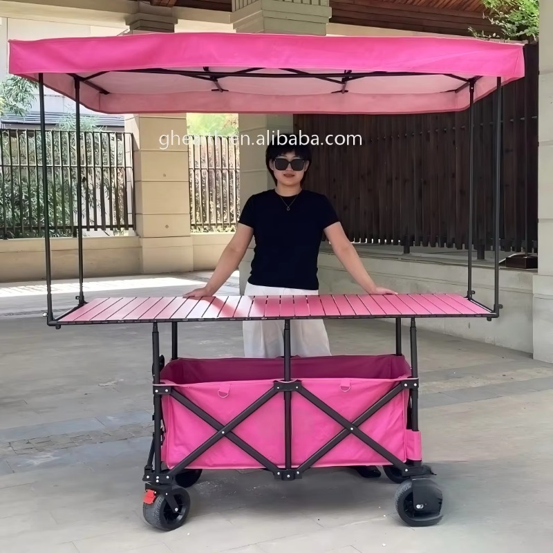 Klappbarer Stahltisch-Transpor – Outdoor Camping Folding Table Bewertung und Preis